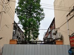 -百联临沂购物中心(临沂路店)