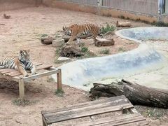 -昆明动物园