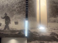 -大榕树下顺德菜(融创茂店)