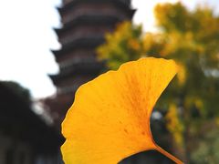 景点-北寺塔