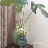 童年的芬芳[糖果]槐花香[调皮]一年只有这几天[双手合十]珍惜好时光