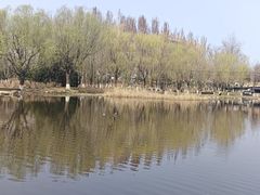 -前关湿地公园