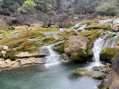 -黔府豆米火锅野菜馆(南马店)