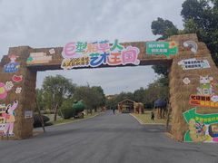 -森波拉奇妙世界