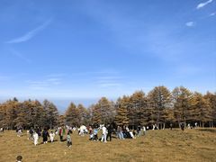 -芦芽山旅游度假区