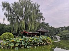 -宣武艺园