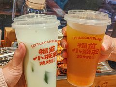 -福苗小骆驼烧烤(曲江店)