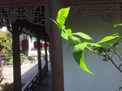 -檀园