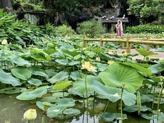 -广州莲花山旅游区