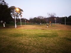 -羊山湖公园