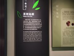 -中国茶叶博物馆(双峰馆区)