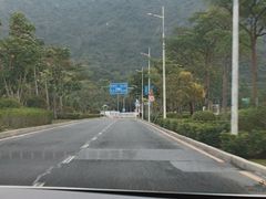-杨梅坑