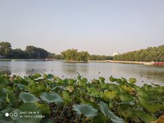 -后海公园
