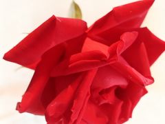 -桃花江餐厅·江景-约会·聚会