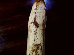 棕包（有棕衣）-龙姐私房菜(和顺古镇店)