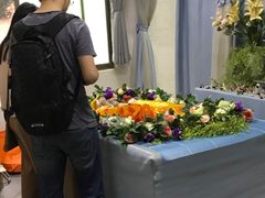 -彩虹桥宠物火化殡葬善终服务(金乐大厦店)