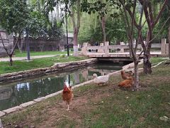 -春风习习