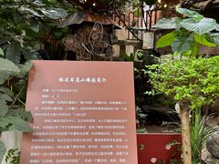 -橡皮书店(翠湖北路店)