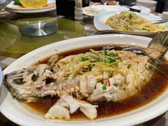-红星渔村(将军石店)
