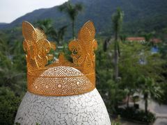 -100蛋泥浆浴