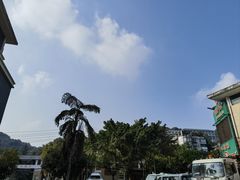 -先机泉水鸡汤(南山老君洞店)