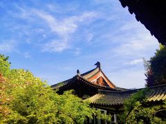 -西安青龙寺遗址景区