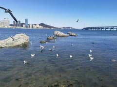 -黑石礁公园