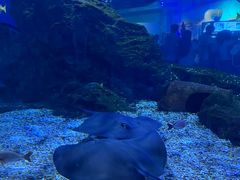 -海合安武汉极地海洋公园