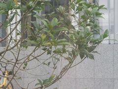 -安肯心理咨询(长宁旗舰店)
