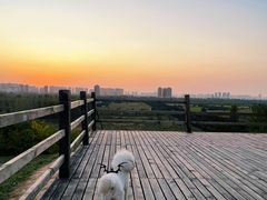 -汉长安城未央宫国家考古遗址公园