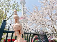 -东方明珠广播电视塔