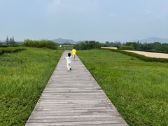 -良渚古城遗址公园