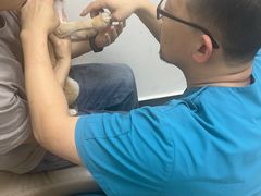 -美联众合动物医院·24h转诊中心