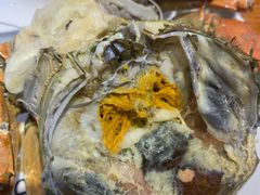 蟹满黄肥河蟹-渔家风味·鲅鱼水饺·央视展播·海鲜天津菜(开发区店)