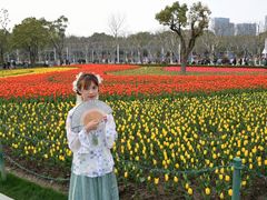 -大宁郁金香公园-停车场