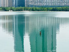 -天鹅湖体育公园