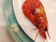 -欢乐海岸美食联盟