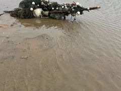 -刘家湾赶海园