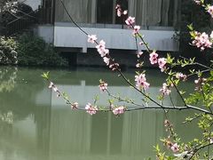 -杭州花家山庄