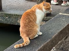 -西园寺素食(西园弄戒幢律寺店)