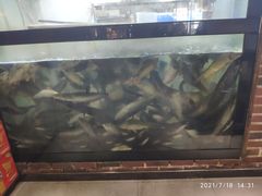 -肥鱼屯活鱼锅(惠工街店)