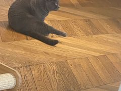 -Me Coffee下午茶艺术空间