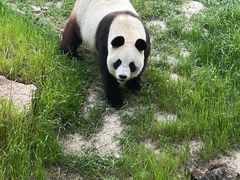 -宁波野生动物园