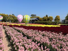 -广东花都香草世界旅游度假区