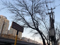 -花舍·新派粤菜·西餐·下午茶(亚运村·鸟巢店)