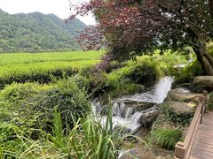 -中国茶叶博物馆(双峰馆区)
