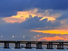 -宝安西湾红树林湿地公园