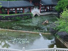 -广东花都湖国家湿地公园