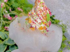 -OUR Bakery(三里屯太古里店)