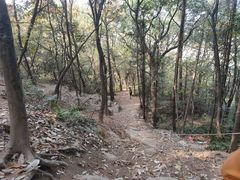 -灵岩山风景区